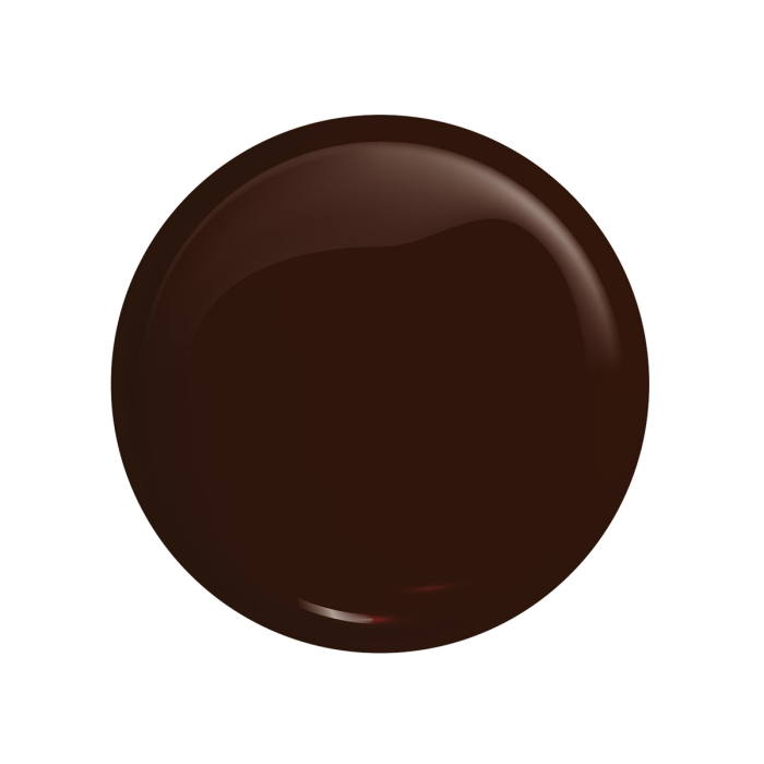 VICTORIA VYNN GEL POLISH 484 BURNT WALNUT 8ML