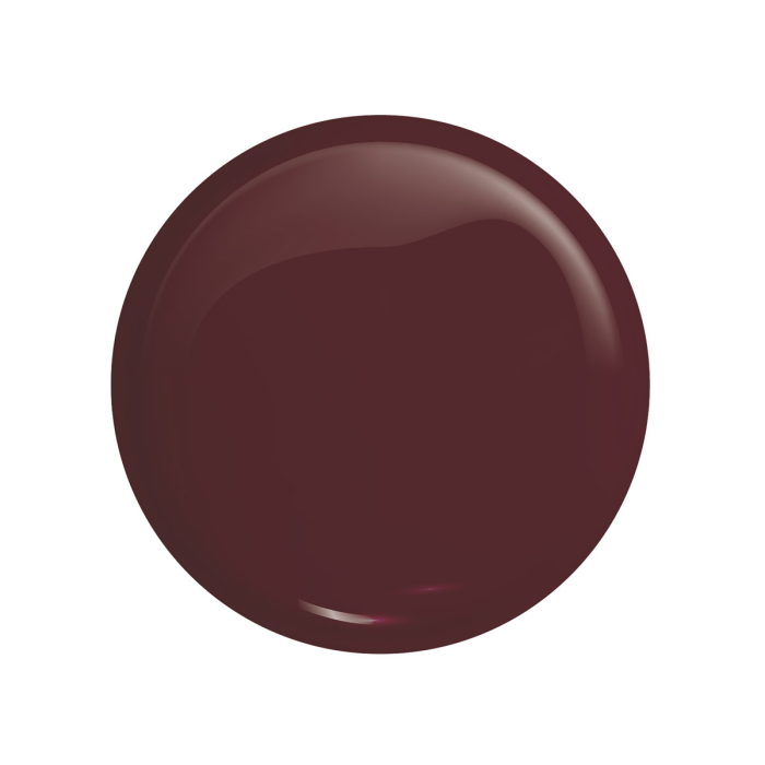 VICTORIA VYNN GEL POLISH 480 BORDEAUX 8ML