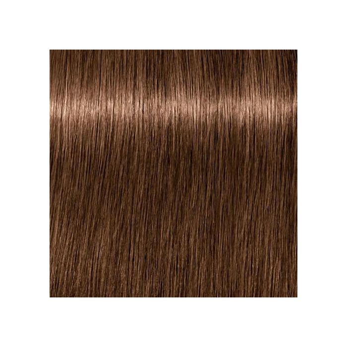 SCHWAZKOPF IGORA ROYAL 6-65 60ML