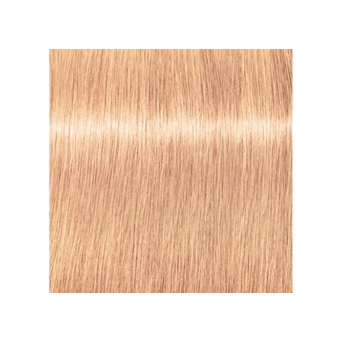 IG  ROYAL 9 5-49 ML SCHWAZKOPF