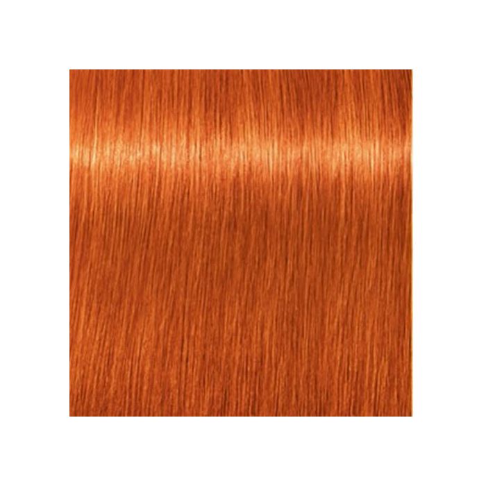 SCHWAZKOPF IGORA ROYAL 8-77 60ML