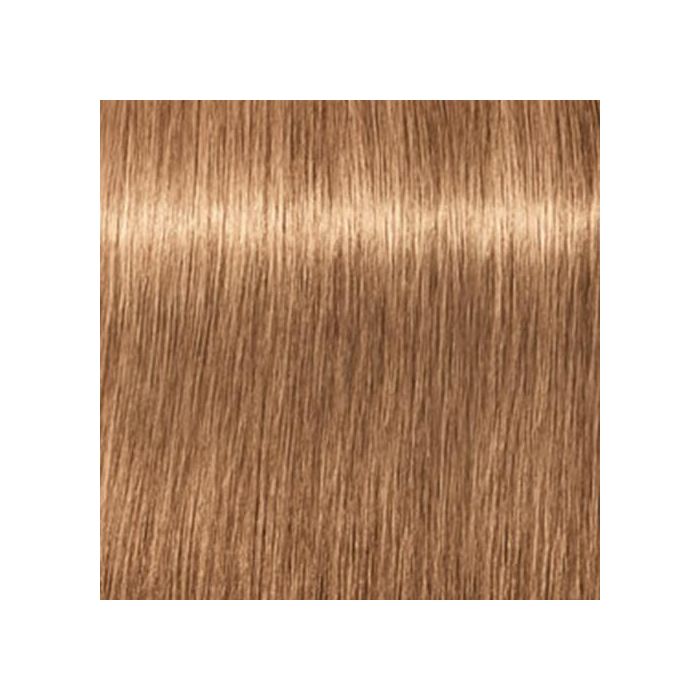 SCHWAZKOPF IGORA ROYAL 8-65 60ML