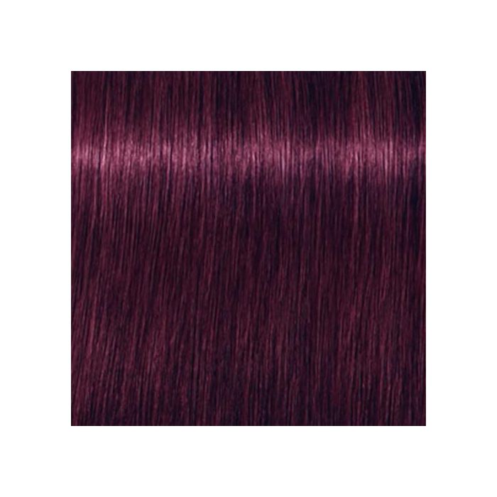 SCHWAZKOPF IGORA ROYAL 6-99 60ML