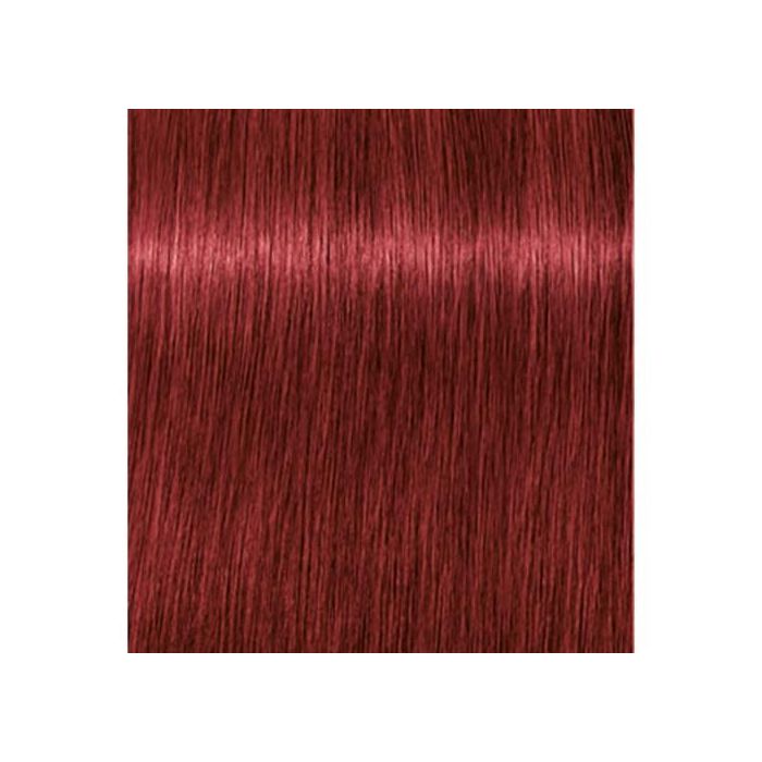 SCHWAZKOPF IGORA ROYAL 6-88 60ML