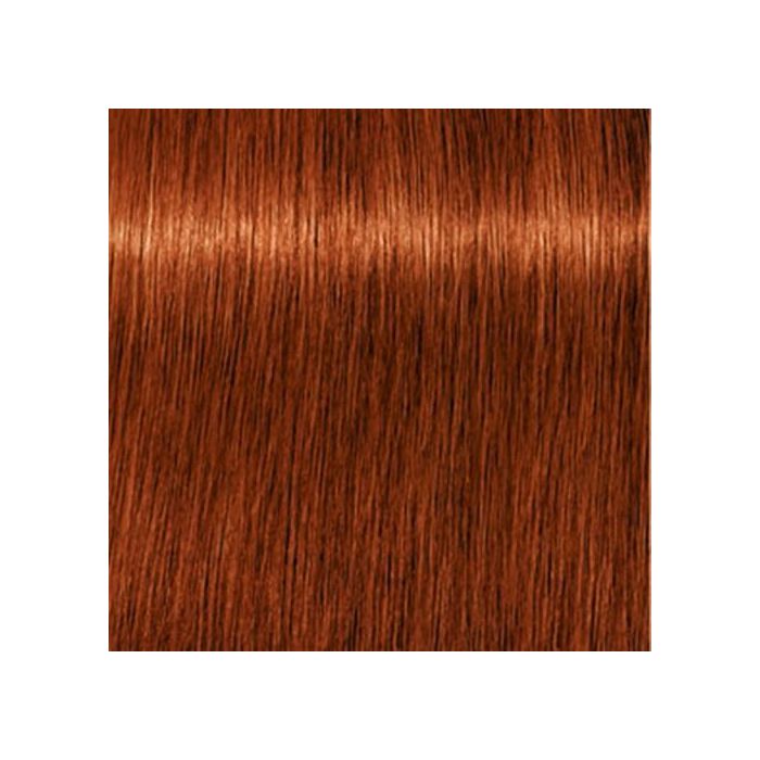 IG  ROYAL 6-77 ML SCHWAZKOPF