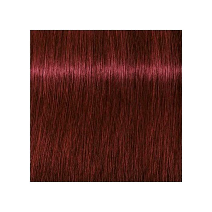 SCHWAZKOPF IGORA ROYAL 5-88 60ML