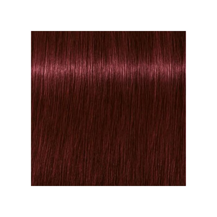 SCHWAZKOPF IGORA ROYAL 4-88 60ML