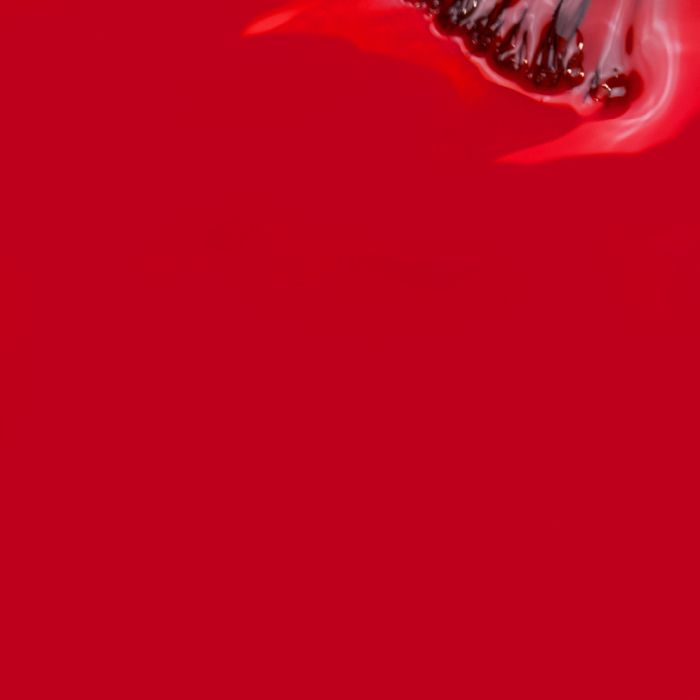 INOCOS VERNIZ LIKE GEL 207 11ML