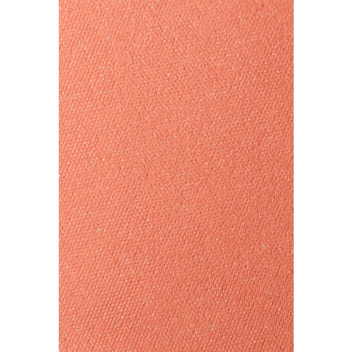 ANDREIA IMMERSIVE BLUSH 02