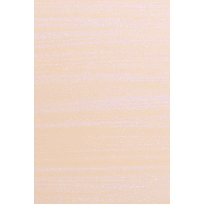 VERNIZ ANDREIA Nº38 14ML