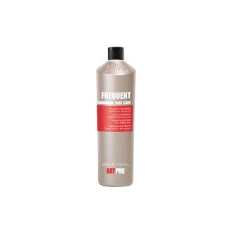 KAYPRO SH.1L USO FREQUENTE