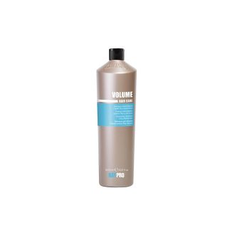 KAYPRO SH.1L.VOLUME