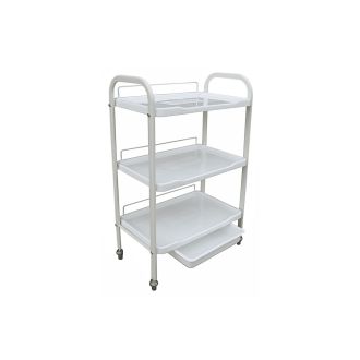 RICKI PARODI MESA AJUDANTE ESTETICA PRO BRANCA