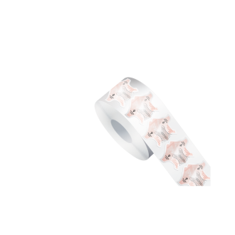 VICTORIA VYNN NAIL FORMS BASIC 100PCS