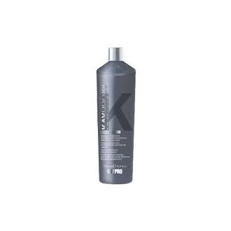 KAYPRO SHAMPOO KAYPROXIL TRATAMENTO ANTI-QUEDA 350ML